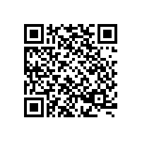 传统汽车行业通过独特的商业模式实现销量同比劲增380%